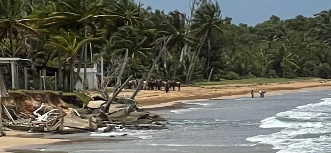 Chackys Paradise Oceanfront Home Luquillo Apartment