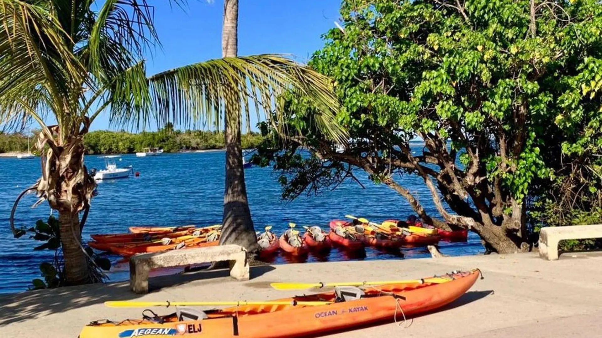 Apartment Chackys Paradise Oceanfront Home Luquillo Puerto Rico