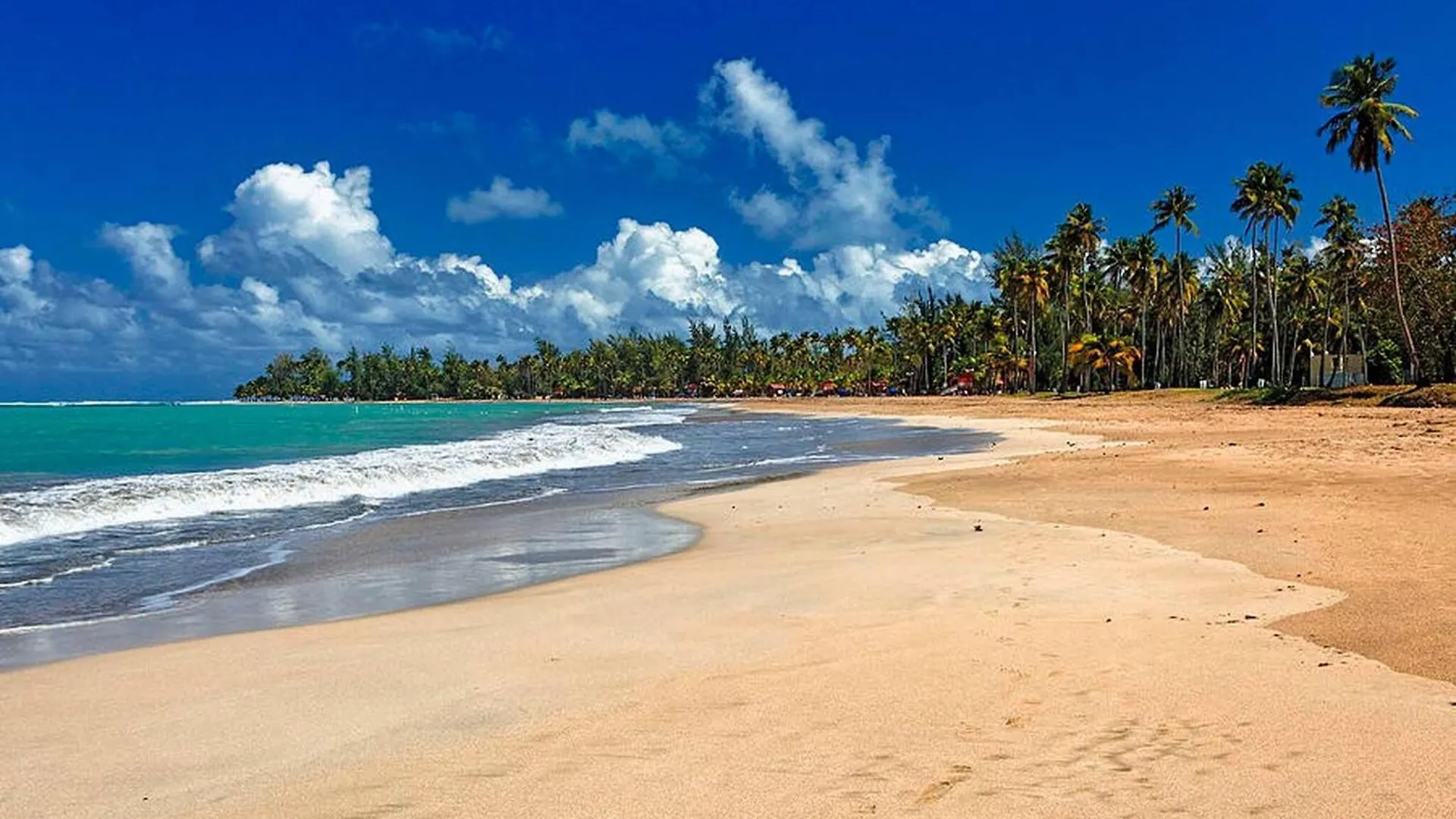 Chackys Paradise Oceanfront Home Luquillo Apartment