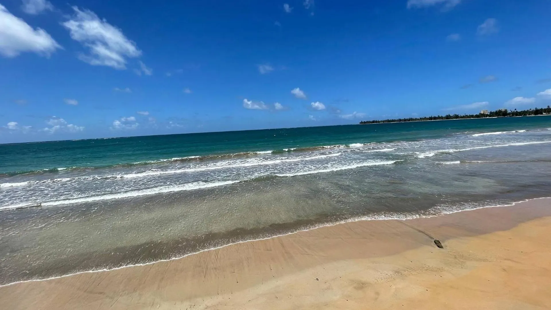 Chackys Paradise Oceanfront Home Luquillo Apartment
